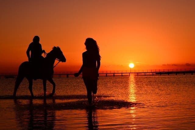 Horse Riding Safari Adventure from Hurghada - Photo 6