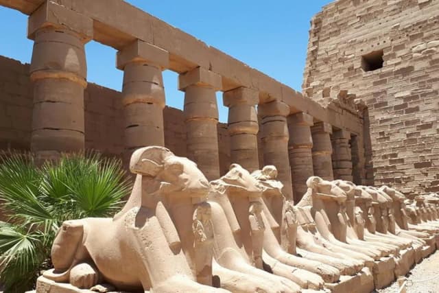 Luxor Golden Bus Tour (Large Group Bus, up to 50 seats) - Photo 4