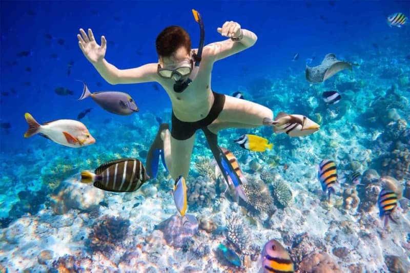Eden Island – Snorkeling & Beach Paradise - 1