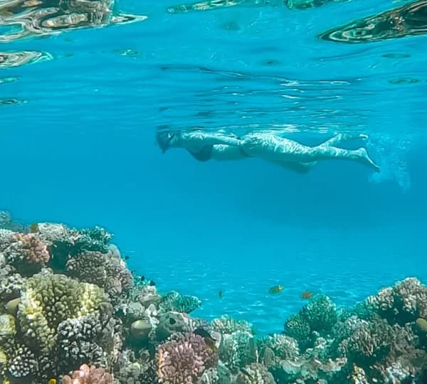 Eden Island – Snorkeling & Beach Paradise - Photo 6