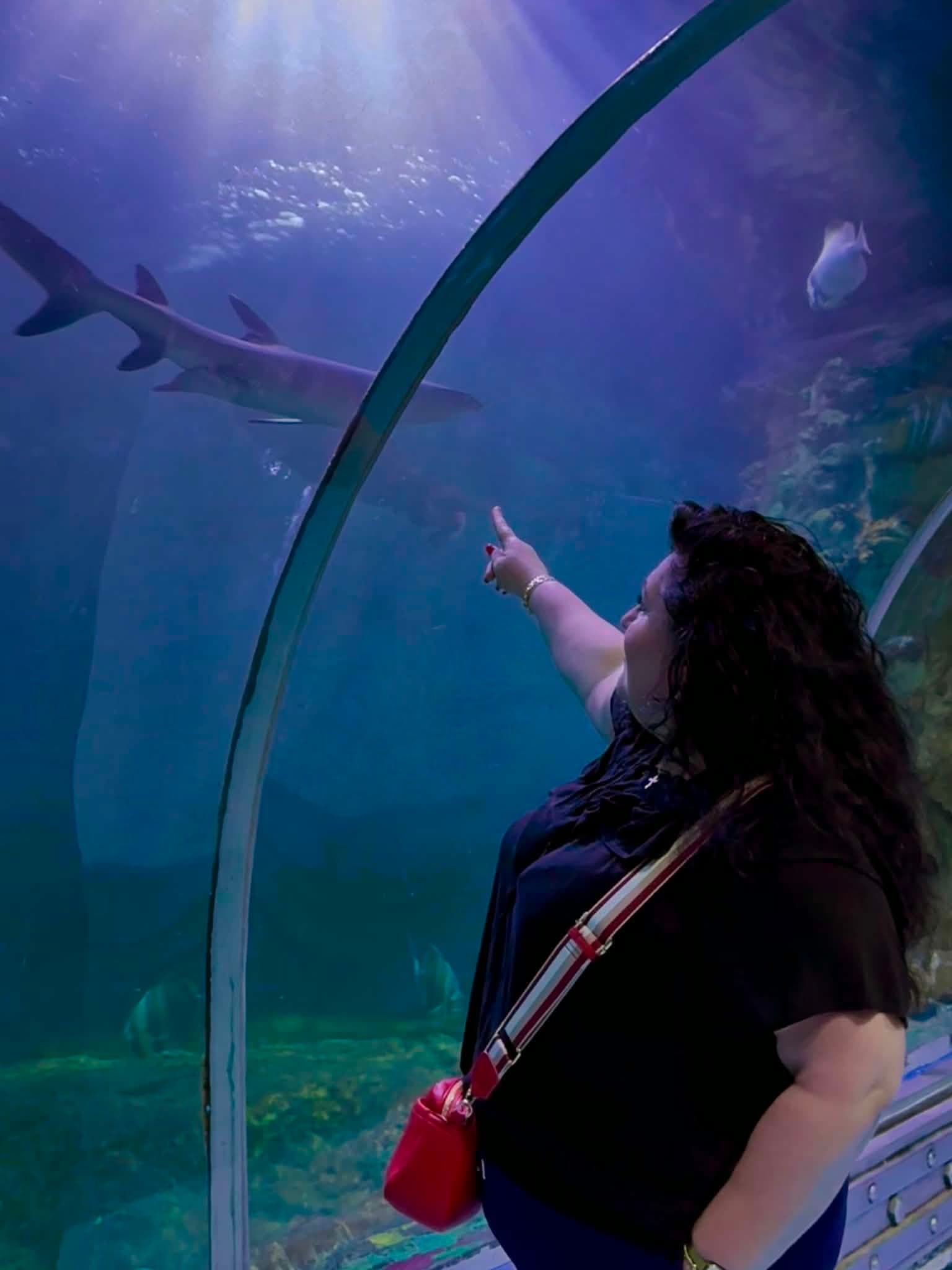 Grand Aquarium Hurghada – Underwater World Adventure - 1