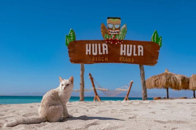 Hula-Hula Island Snorkeling & Beach Day - Photo 12