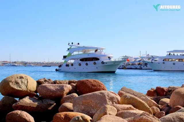 Paradise Island Snorkeling Tour from Hurghada - Photo 8