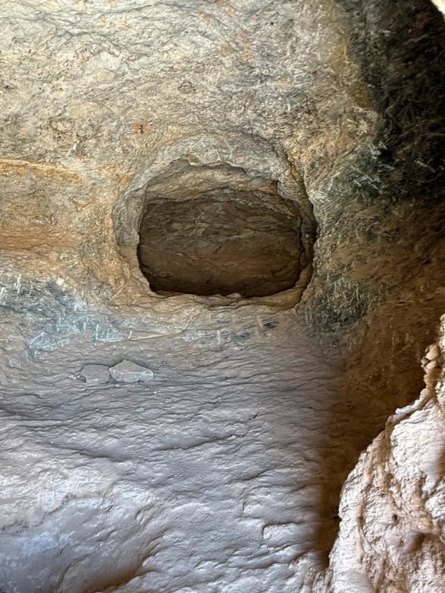 Wadi El Gemal National Park – Full Day Beach & Nature Tour - Photo 9